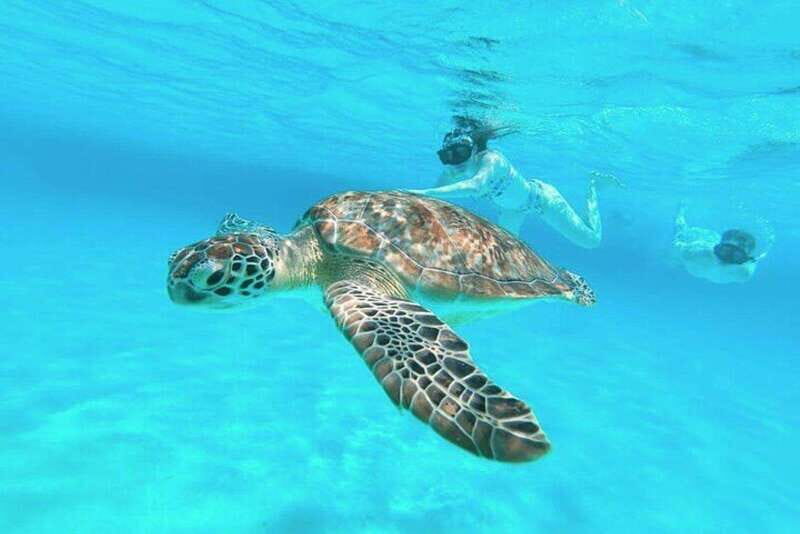 Cozumel: Private Snorkel Tour El Cielo + 3 Reefs Food Drinks - Discovering Cozumel’s Underwater Gems: An Honest Look at the Private Snorkel Tour El Cielo + 3 Reefs