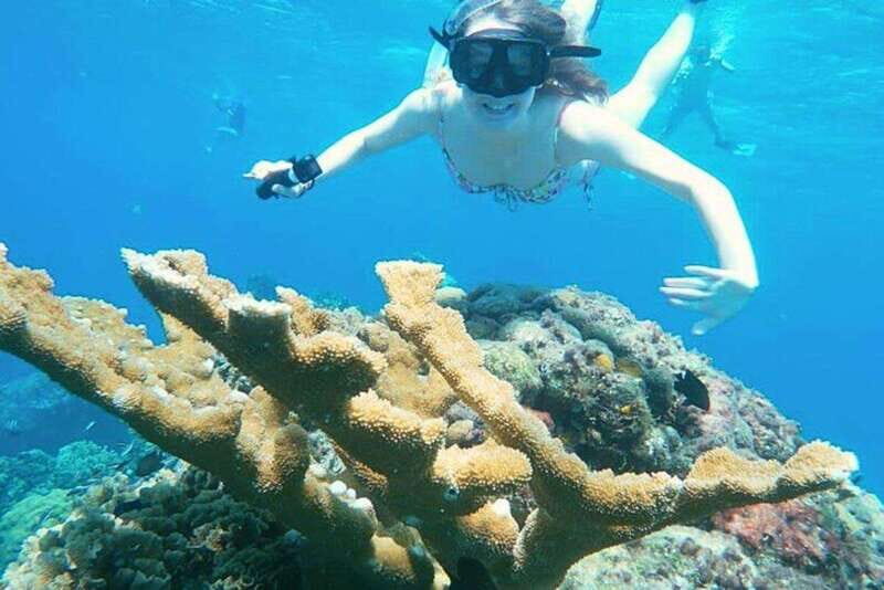 Cozumel: Private Snorkel Tour El Cielo + 3 Reefs Food Drinks - Key Points