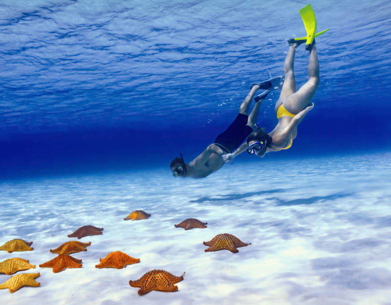 Cozumel: Private Snorkel Tour El Cielo + 3 Reefs Food Drinks - Food, Drinks, and Relaxation Onboard