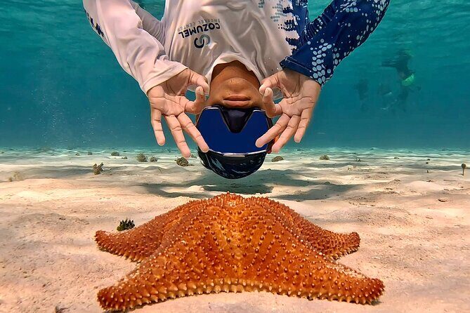 Cozumel Private Snorkeling and Charter Experience - Frequently Asked Questions