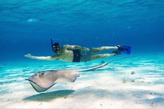 Cozumel Reef Snorkeling Tour - Frequently Asked Questions