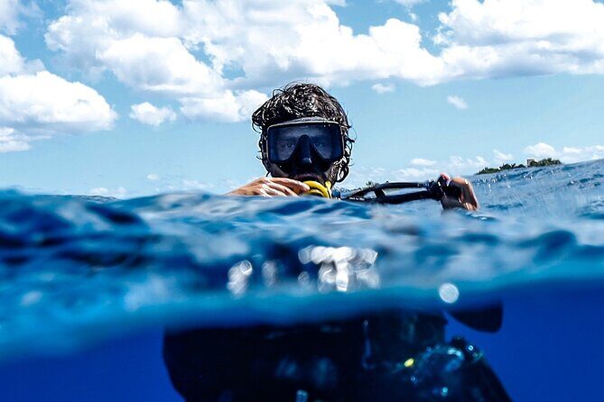 Cozumel Reef Suba Diving Adventure for Certified Divers - Key Points