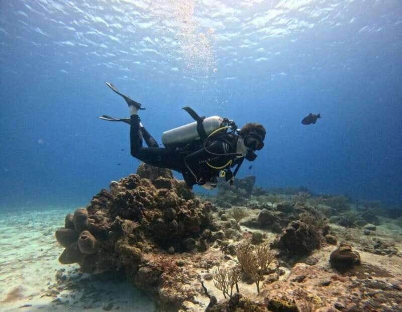 Cozumel Scuba Diving: 2 Tanks in the National Park for certified divers - Frequently Asked Questions