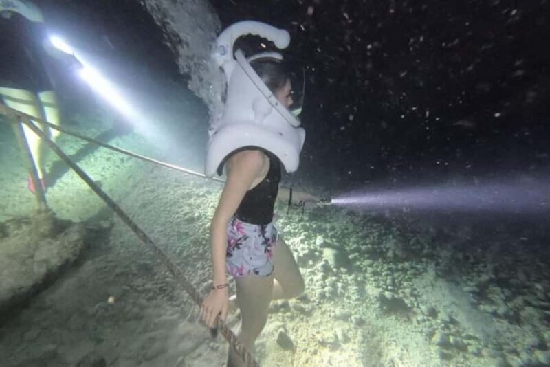 Cozumel: Sea Trek Underwater Night Dive Experience - Why This Tour Offers Great Value