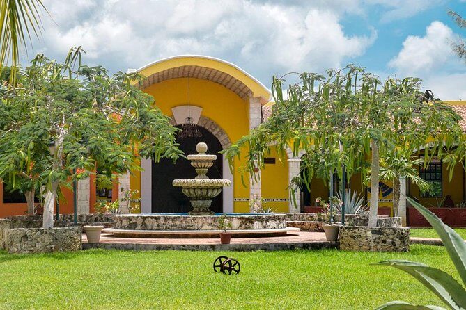 Cozumel Shore Excursion: 5-Hour Sightseeing Tour with Private Driver - The Sum Up