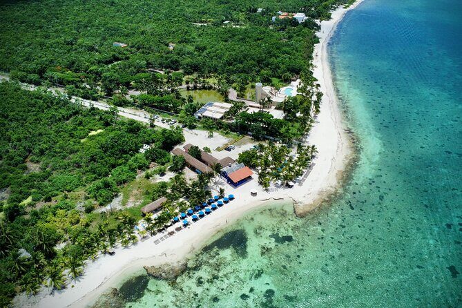 Cozumel: Shore Excursions for Royal Caribbean Cruise Passengers - Dive Into Cozumel: An In-Depth Look at the Shore Excursion