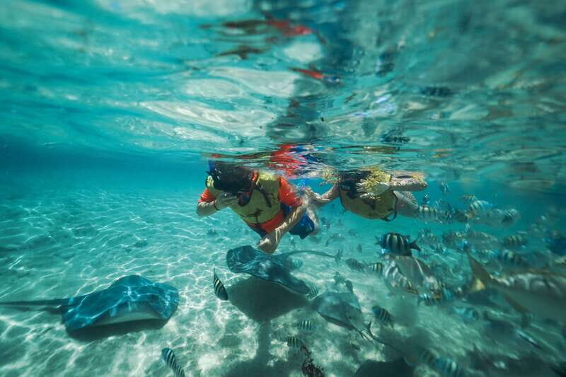 Cozumel: Snorkel and Swim with Stingrays - A Practical Look at the Cozumel Stingray Experience