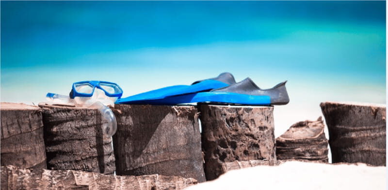 Cozumel: Snorkeling Adventure - Key Points