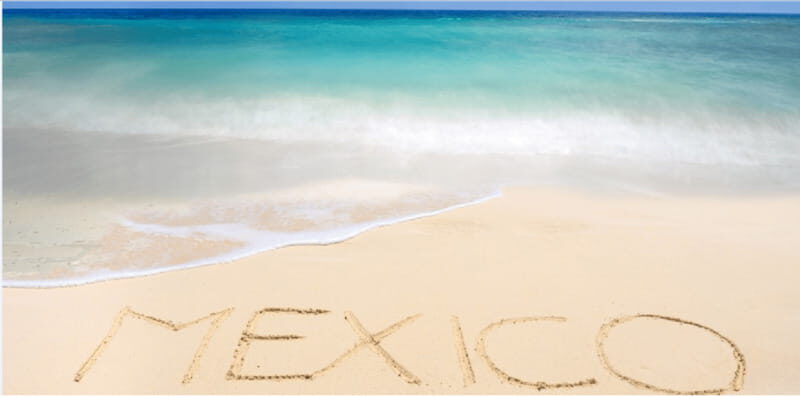Cozumel: Snorkeling Adventure - In-Depth: Why This Tour Delivers Value