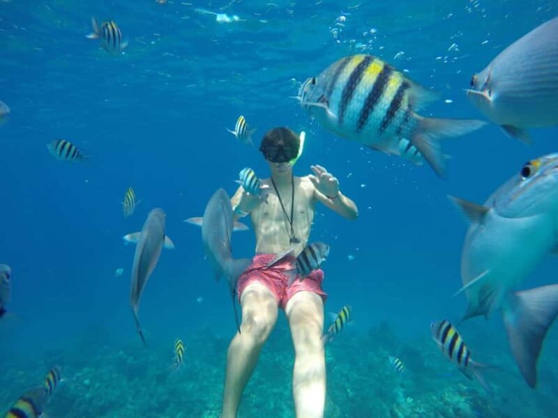 Cozumel: Snorkeling at Playa El Cielo with drinks, ceviche, and more - A Deep Dive into the Cozumel Snorkeling Experience
