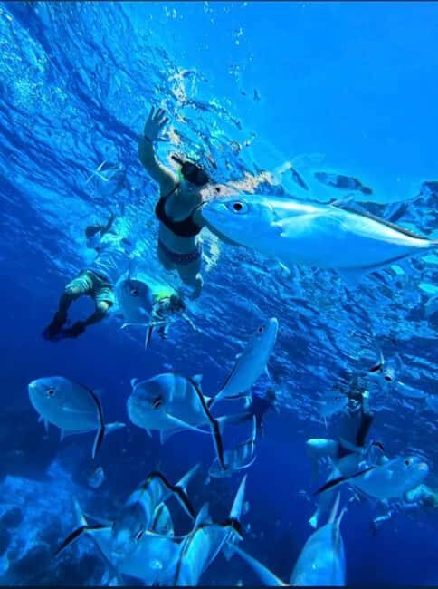 Cozumel: snorkeling on reefs + visit to "El Cielo" - A Deep Dive into the Experience