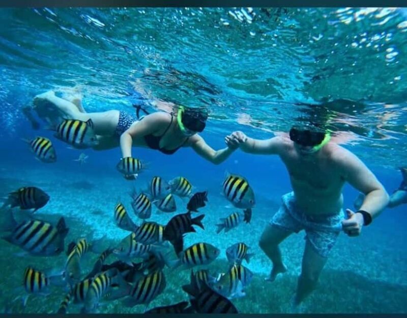 Cozumel: snorkeling on reefs + visit to "El Cielo" - Snorkeling at Palancar Reef
