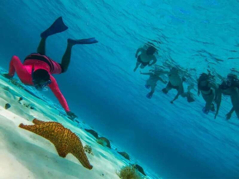 Cozumel: snorkeling on reefs + visit to "El Cielo" - End of the Tour and Return