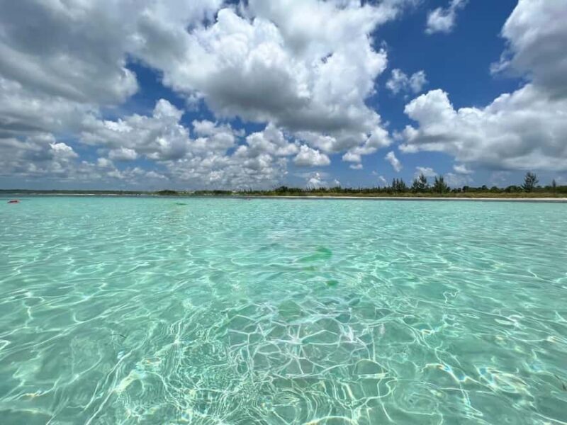 Cozumel: snorkeling on reefs + visit to "El Cielo" - Logistics and What to Bring