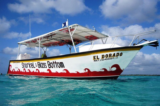 Cozumel Snorkeling Tour at Palancar & Colombia Reefs and El Cielo - FAQ