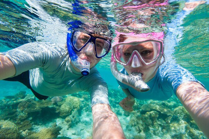 Cozumel Snorkeling Tour to Palancar Reef and El Cielo - Pricing and Value Analysis