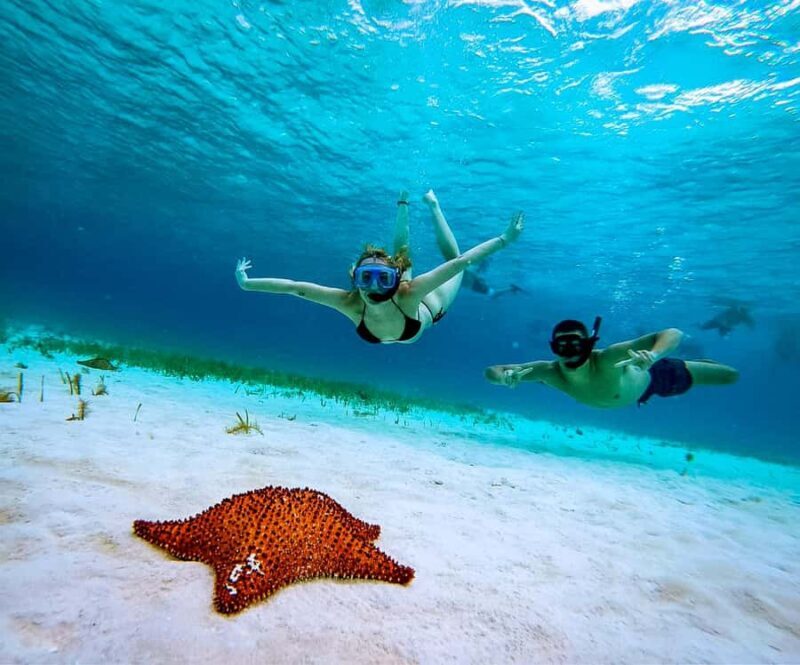 Cozumel: Starfish, Rays and El Cielo Snorkeling Experience - Final Thoughts: Is It Worth It?