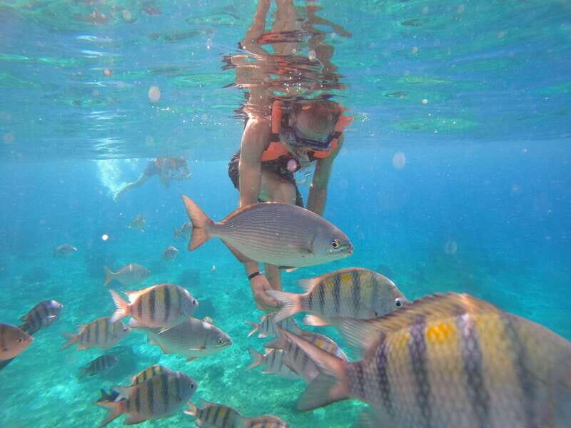 Cozumel: Transparent Boat Tour with Snorkeling and 2 Beers, Clear Boat - FAQ