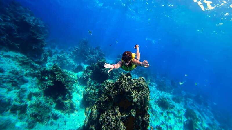 Cozumel: Transparent bottom boat tour and snorkeling activity. - Cozumel: Transparent Bottom Boat Tour and Snorkeling Activity