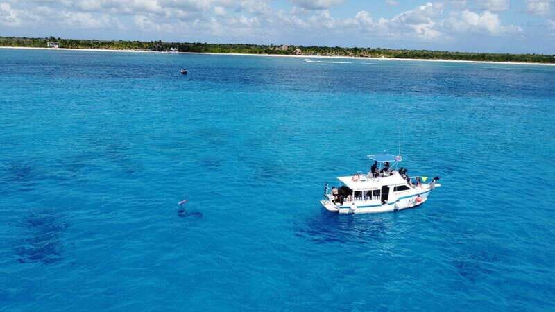 Cozumel: Two reef dives in Marine Park, certified divers - What Makes This Tour Stand Out?