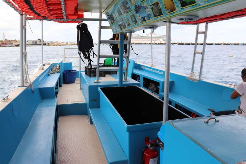 Cozumel: VIP Glass Bottom Boat & Snorkeling 3 Reefs Tour - An In-Depth Look at the Cozumel Reef Experience