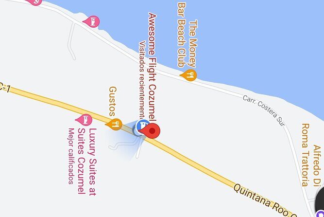 Cozumel zipline thrill adventures - Who Will Love This Tour?