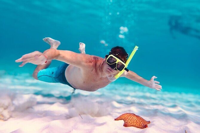 Cozumel's Best: Snorkel Adventure in El Cielo and El Cielito - FAQ