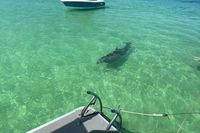 Crab Island Party!! Lily Pad, Paddleboard, Speaker & Cooler - Key Points