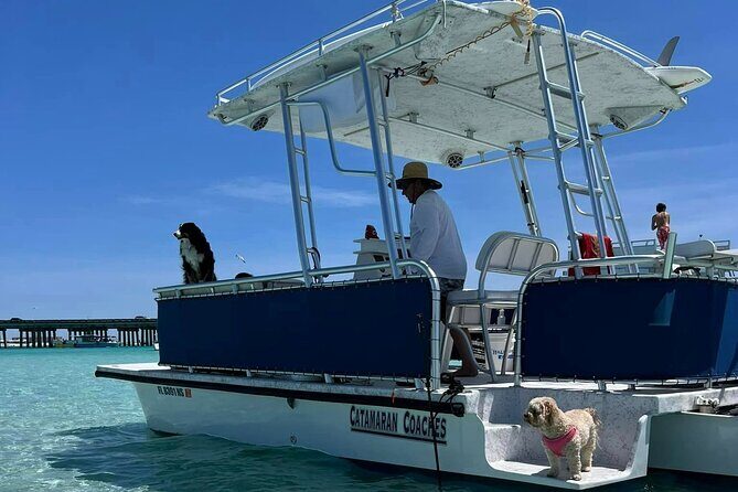 Crab Island Private Captained Charter in Destin - Destin Harbor: Dolphins and City Views