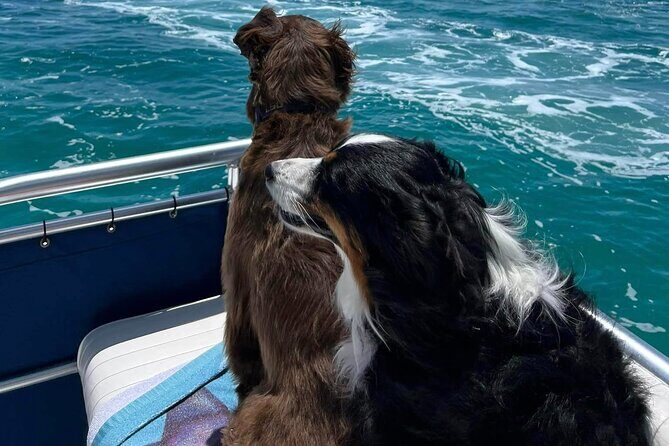 Crab Island Private Captained Charter in Destin - Optional Stops and Customization