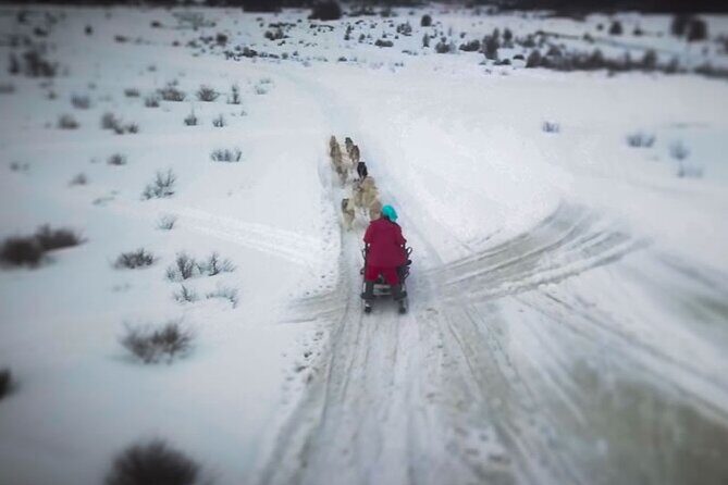 Crab Route in the Snow 4x4 in Tierra Del Fuego - Key Points