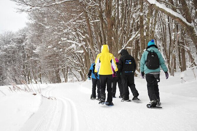 Crab Route in the Snow 4x4 in Tierra Del Fuego - FAQ