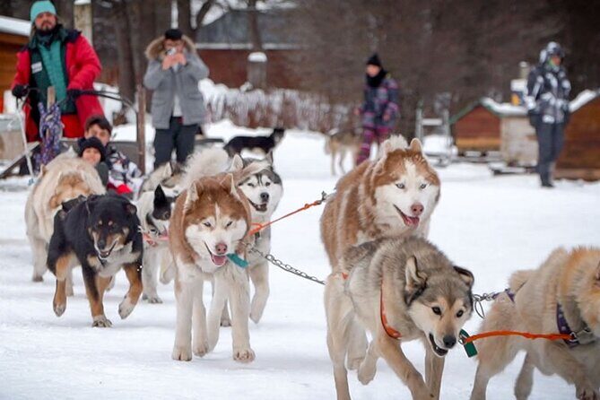 Crab Route in the Snow 4x4 in Tierra Del Fuego - Final Remarks