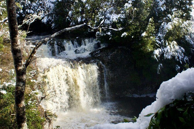 Cradle Mountain Day Tour from Launceston Including Lunch - The Tour Experience in Detail
