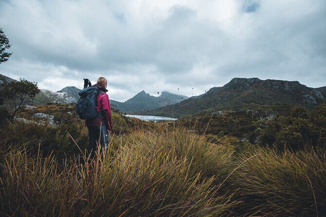 Cradle Mountain: Dove Lake Guided Hiking Tour - Key Points