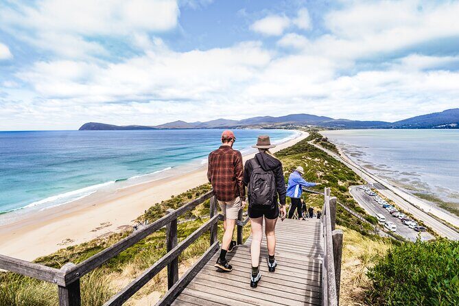 Cradle Mountain OMG! Hobart to Cradle Active Day Trip - The Sum Up