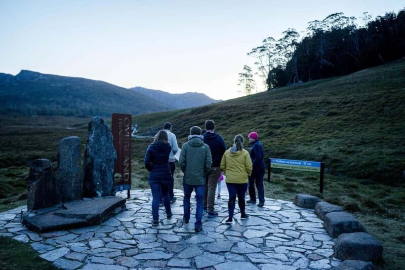Cradle Mountain Wildlife Spotting after Dark - Who Should Consider This Tour