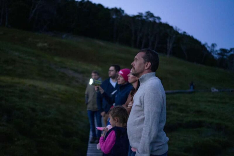 Cradle Mountain Wildlife Spotting after Dark - Final Thoughts
