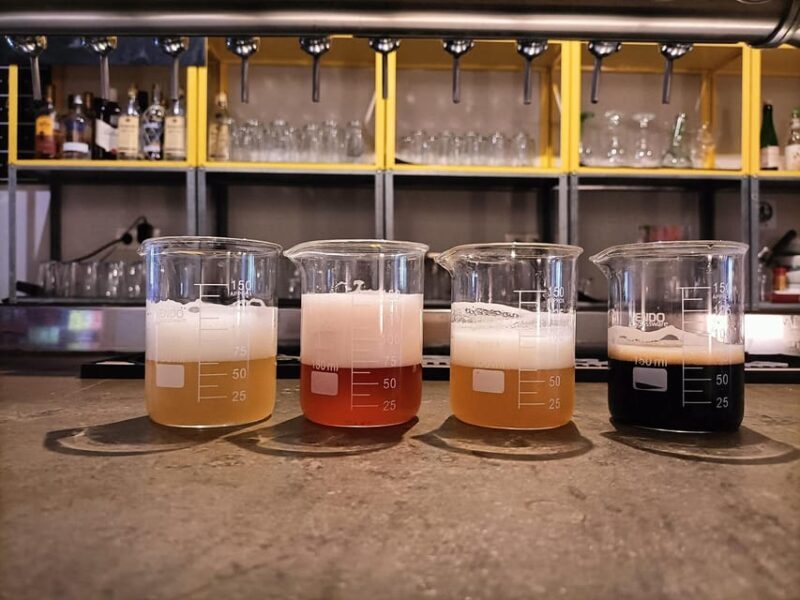 Craft Beer Tasting and tapas in Valencia - An In-Depth Look at the Experience