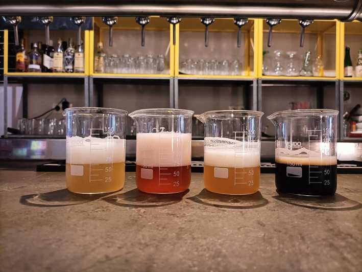 Craft Beer Tasting and tapas in Valencia - Who Will Enjoy This Tour Most?