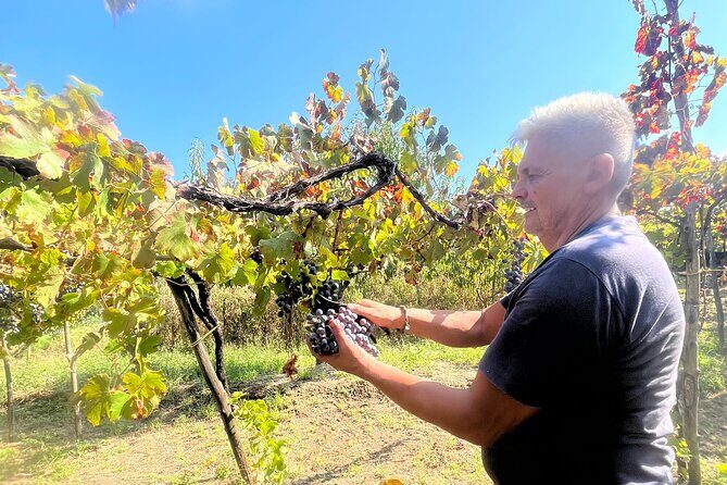 Craftsmanship and Flavors of Sorrento and Amalfi Coast - A Complete Look at the Craftsmanship and Flavors of Sorrento and Amalfi Coast Tour