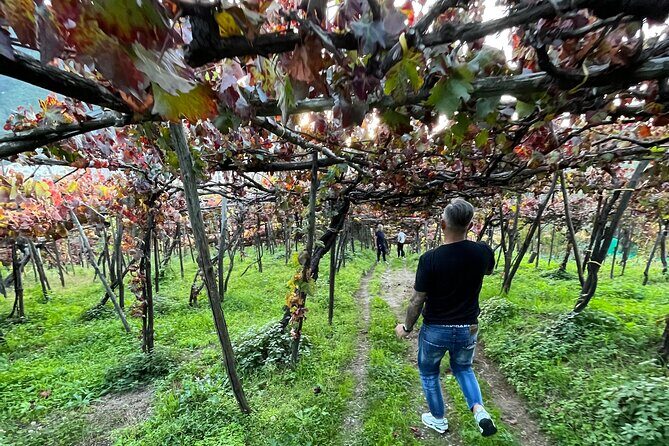Craftsmanship and Flavors of Sorrento and Amalfi Coast - Frequently Asked Questions