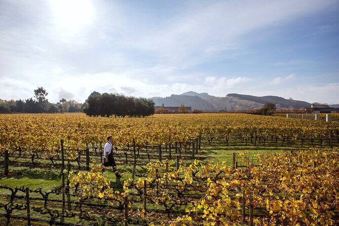 Craggy Range Deluxe - Hawke's Bay Wine Tour - Final Thoughts: Who Is This Tour Best For?
