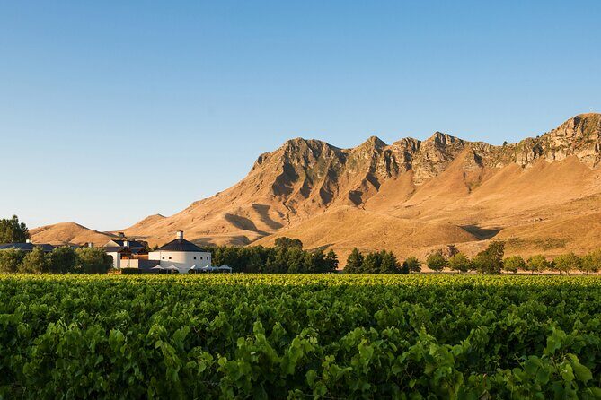 Craggy Range Deluxe Wine Tour - Private Option - Who will love this tour?
