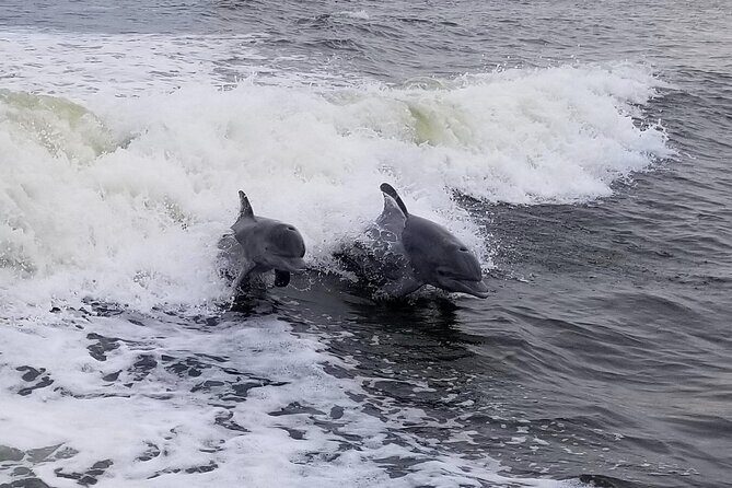 Craigcat Rental in Merritt Island - Discover Merritt Island’s Waterways with a CraigCat Rental