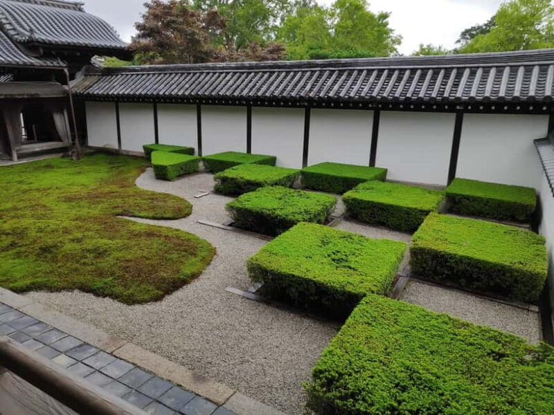 Craig's Kyoto Private Luxury Alphard Tour / The Early Riser - Key Points