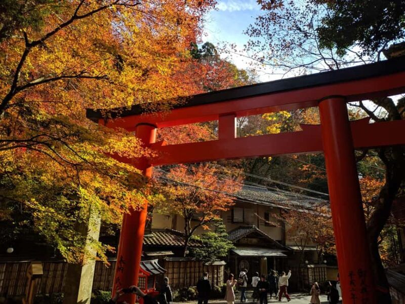 Craig's Kyoto Private Luxury Alphard Tour / The Early Riser - In The Sum Up