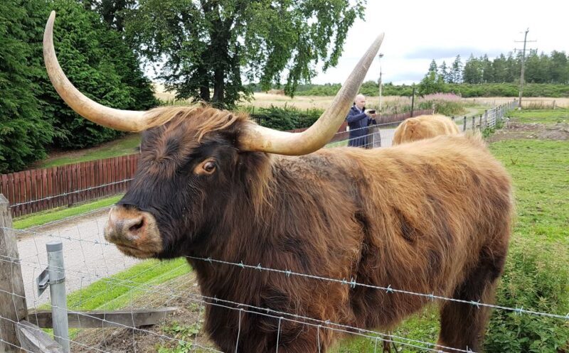 Craigs Luxury Speyside Private Whisky Tour - FAQ