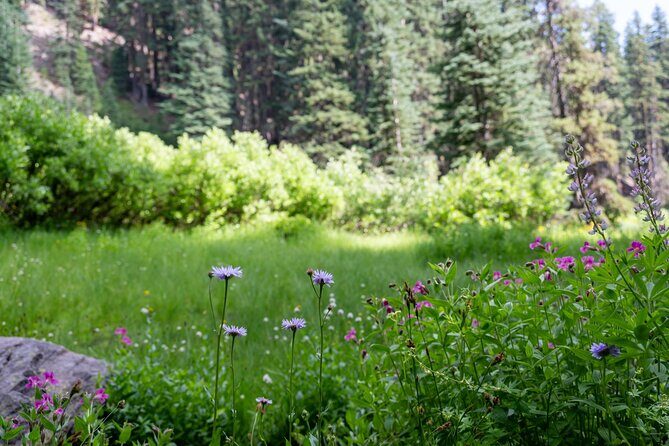 Crater Lake National Park Self-Guided Audio Tour - Practical Considerations