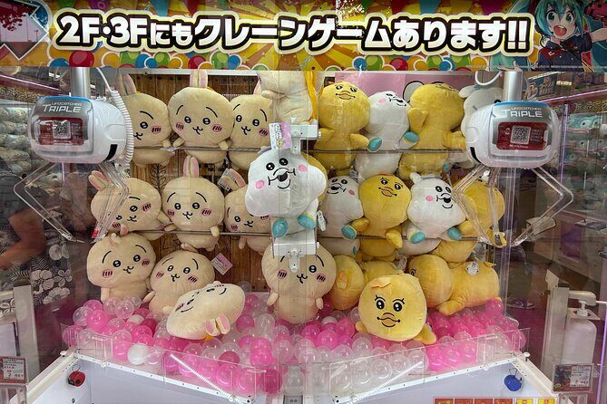 Crazy about Anime! Private Full Day Tokyo Manga Anime Tour by Chartered Vehicle - Key Points